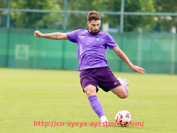 爱游戏体育-德甲联赛现有参赛球队情况及整体介绍