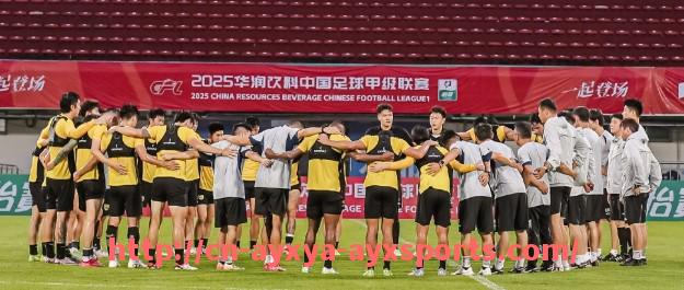 爱游戏体育-英超球队名称大全：所有英超球队的名称与简称